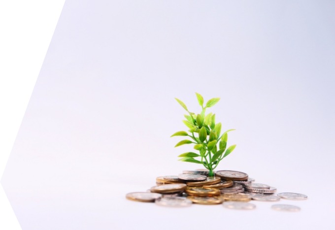 Pflanze auf Geldmuenzen